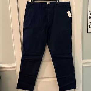 GAP Men's Navy Chinos